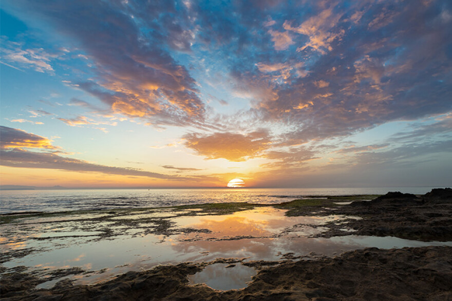 Įlankos, Playa de la Mata ir šunų paplūdimys